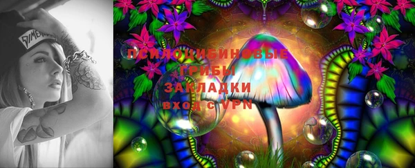 mdpv Остров